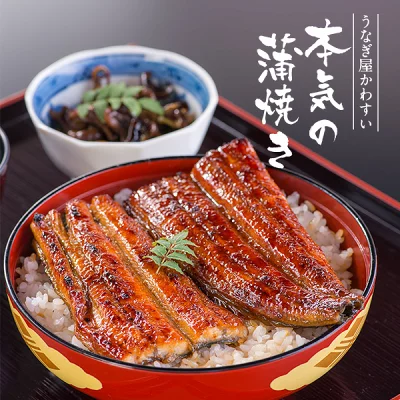 国産うなぎ蒲焼き